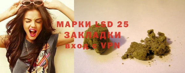 ГАЛЛЮЦИНОГЕННЫЕ ГРИБЫ Абинск