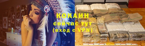 спиды Абаза