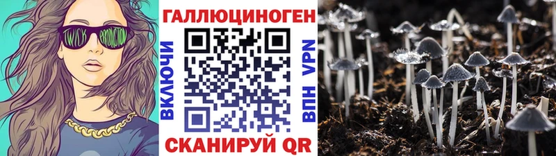 Псилоцибиновые грибы мицелий  MEGA вход  Кораблино  где продают наркотики 